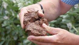 Soil Biology and Soil Health Partnership - for Agronomists and Agricultural Consultants
